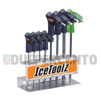 Set chiavi a brugola a T (2/ 2.5/ 3/ 4/ 5/ 6/ 8mm) e chiave Torx "T-25", con apposito supporto