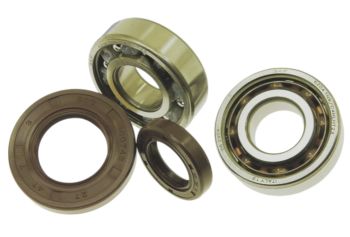Kit 2 cuscinetti e 2 paraoli per alberi motore “FABBRI RACING” versione “MOWER EVO” e “PERA”