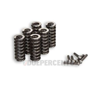 Molle rinforzate MALOSSI per parastrappi Vespa PX125-200 / P200E / 180-200 Rally/ Cosa/ Sprint / 125 GT / GTR / T5